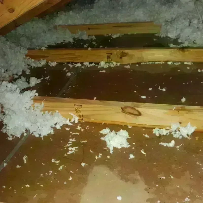 Attic Water Damage in Pittsburg, TX