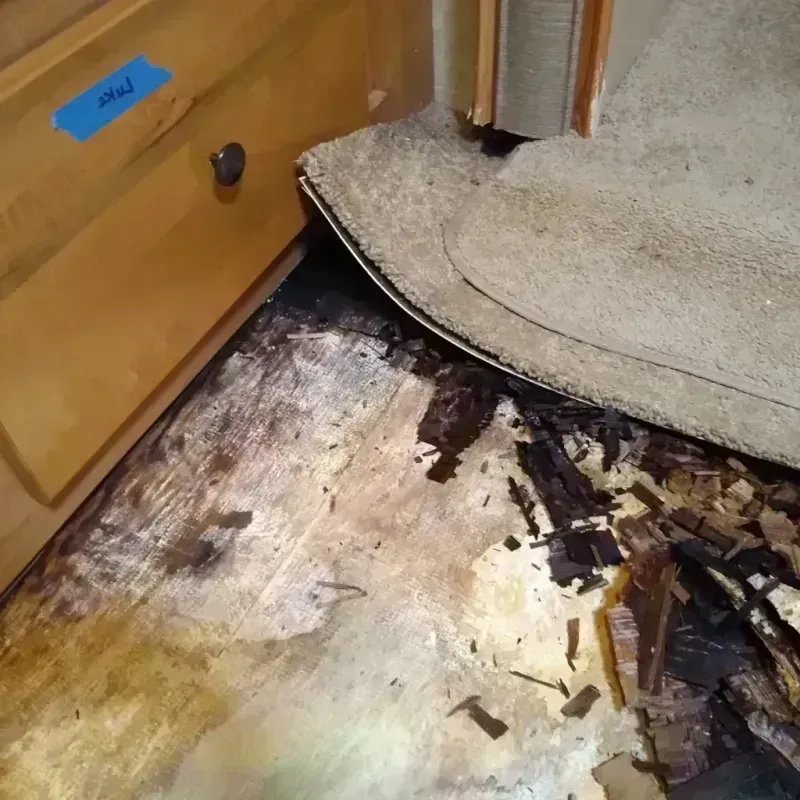 Wood Floor Water Damage in Pittsburg, TX